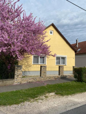 Netti Ferienhaus, Marcali